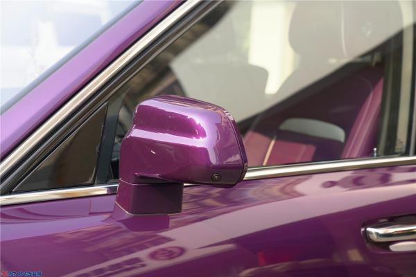 尊享极致保护石家庄库里南贴专用进口车衣